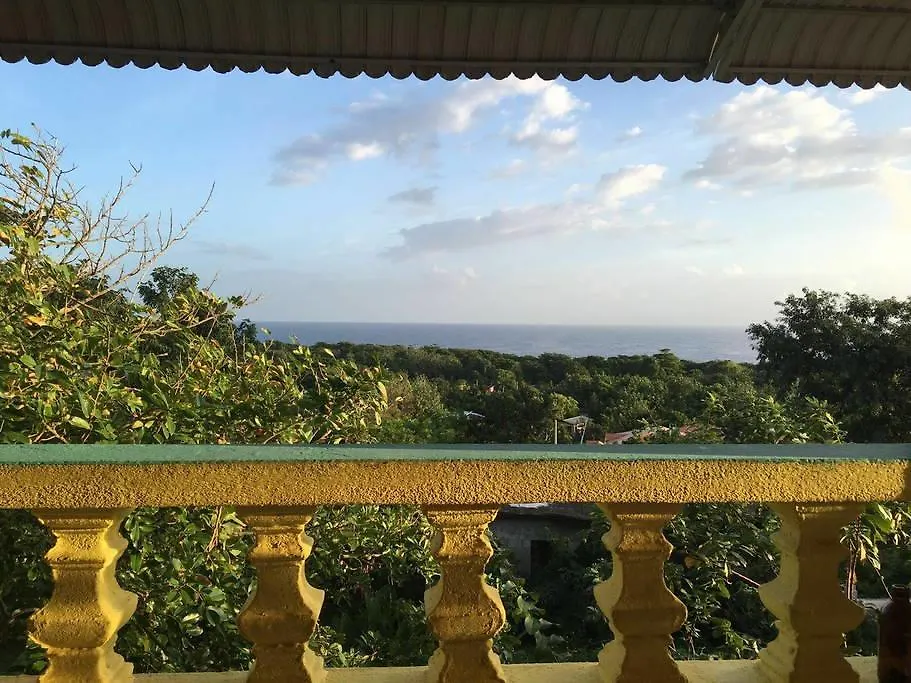 Guest house Ackee Tree Sea View Villa Port Antonio