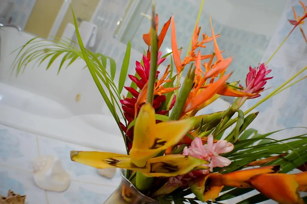 Guest house Ackee Tree Sea View Villa Port Antonio Jamaica
