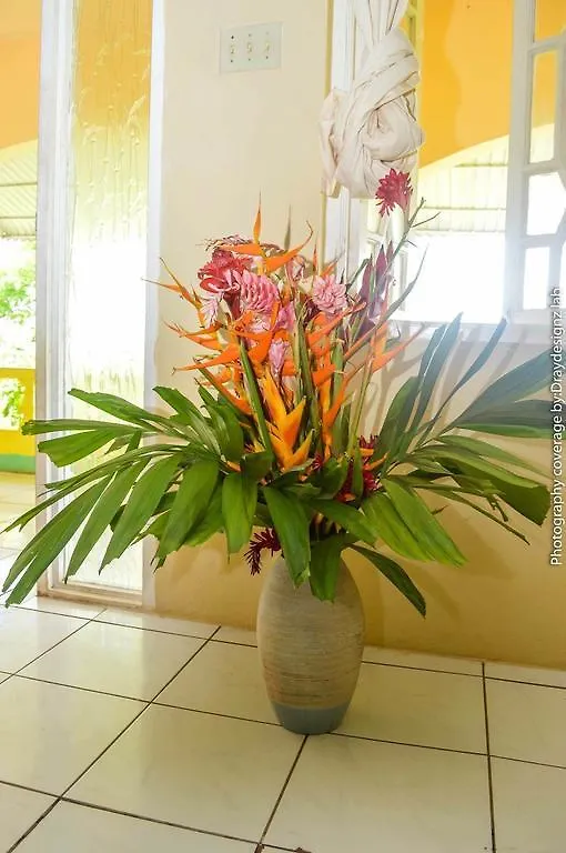 Ackee Tree Sea View Villa Port Antonio