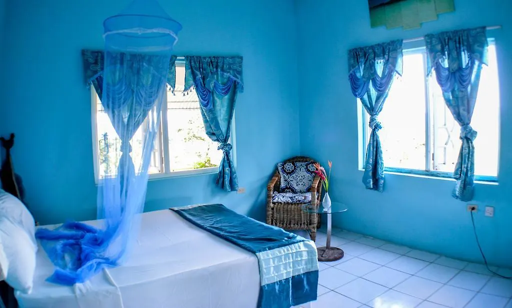 Ackee Tree Sea View Villa Port Antonio 0*,